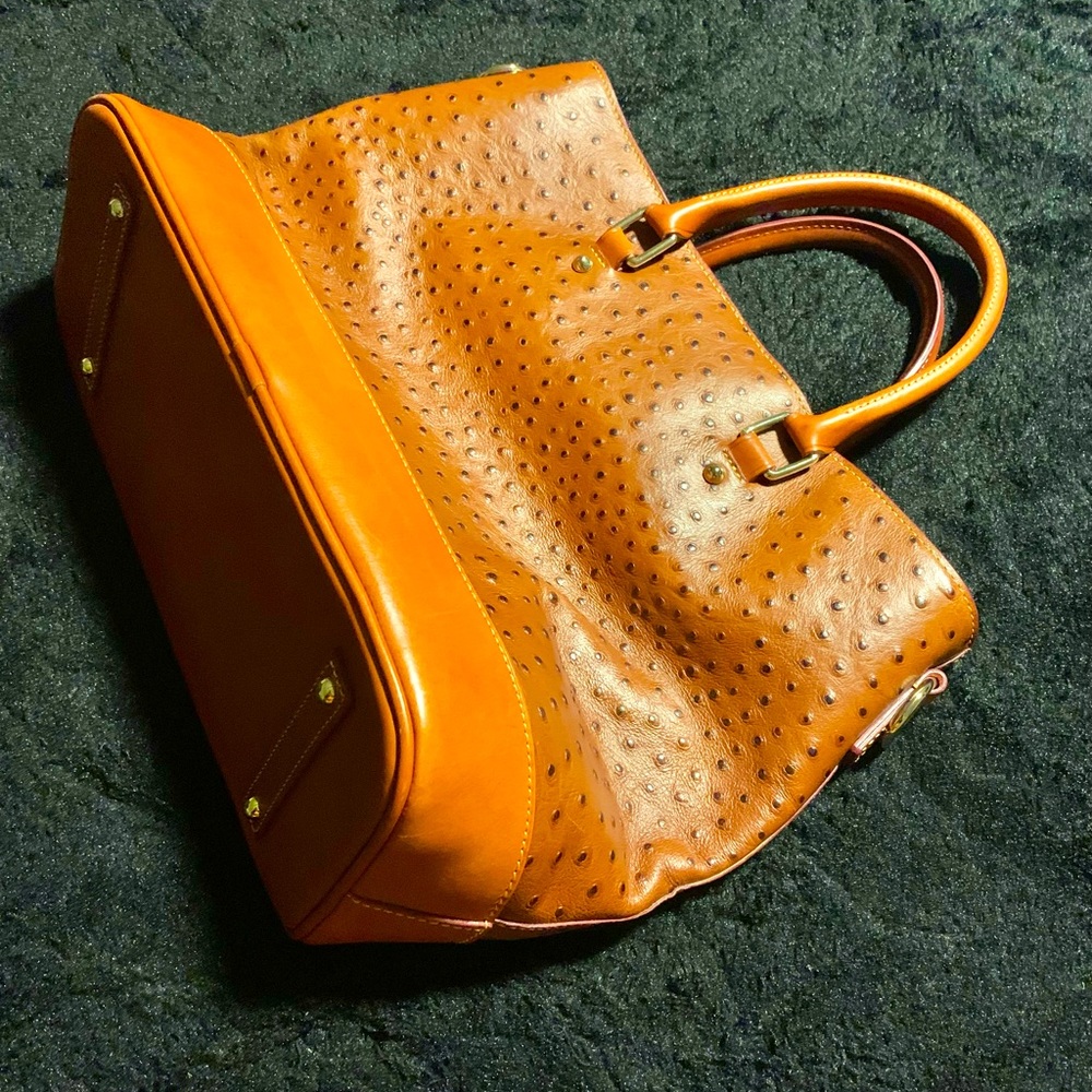 Dooney & Bourke Ostrich Collection Satchel Handbag 🌹